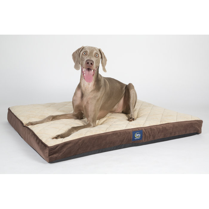 Serta Quilted Pillowtop Pet Bed & Reviews Wayfair